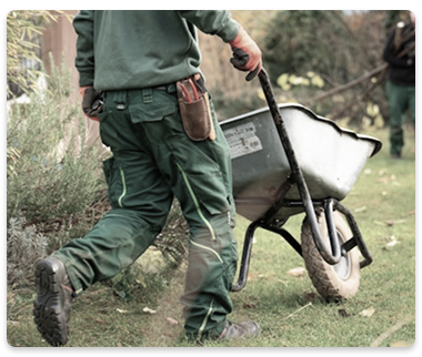 Plataforma de Operaciones